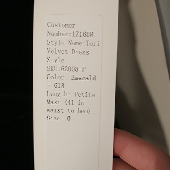 Revelry Tori - Emerald Green Velvet dress - Picture 3 of 6